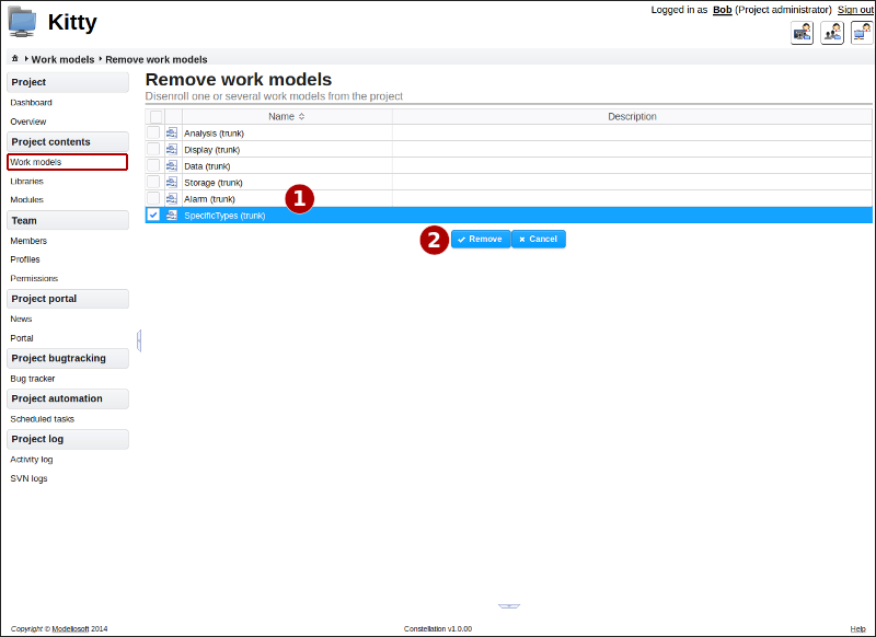 Removing work models from the project