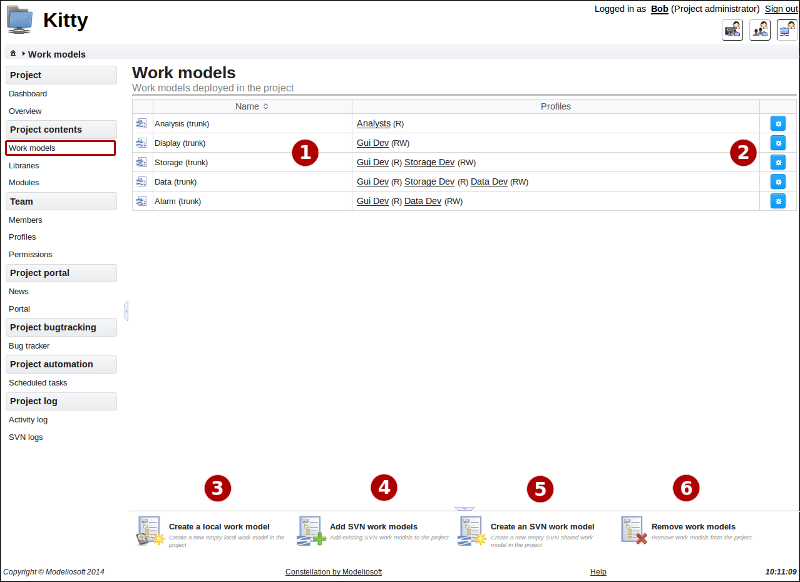 Work models deployed in the project